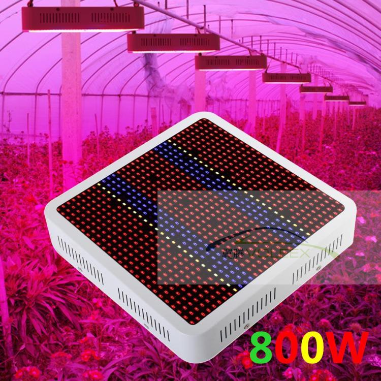 1pcs High Power Full Spectrum 800W Double chips Led grow light aquarium led lighting Hydroponic Systems Indoor grow Box 1pcs High Power Full Spectrum 800W Double chips Led grow light aquarium led lighting Hydroponic Systems Indoor grow Box